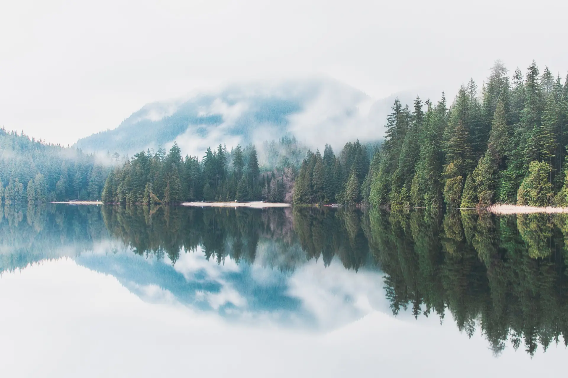 Misty morning reflection of evergreen trees on a calm lake in western Canada