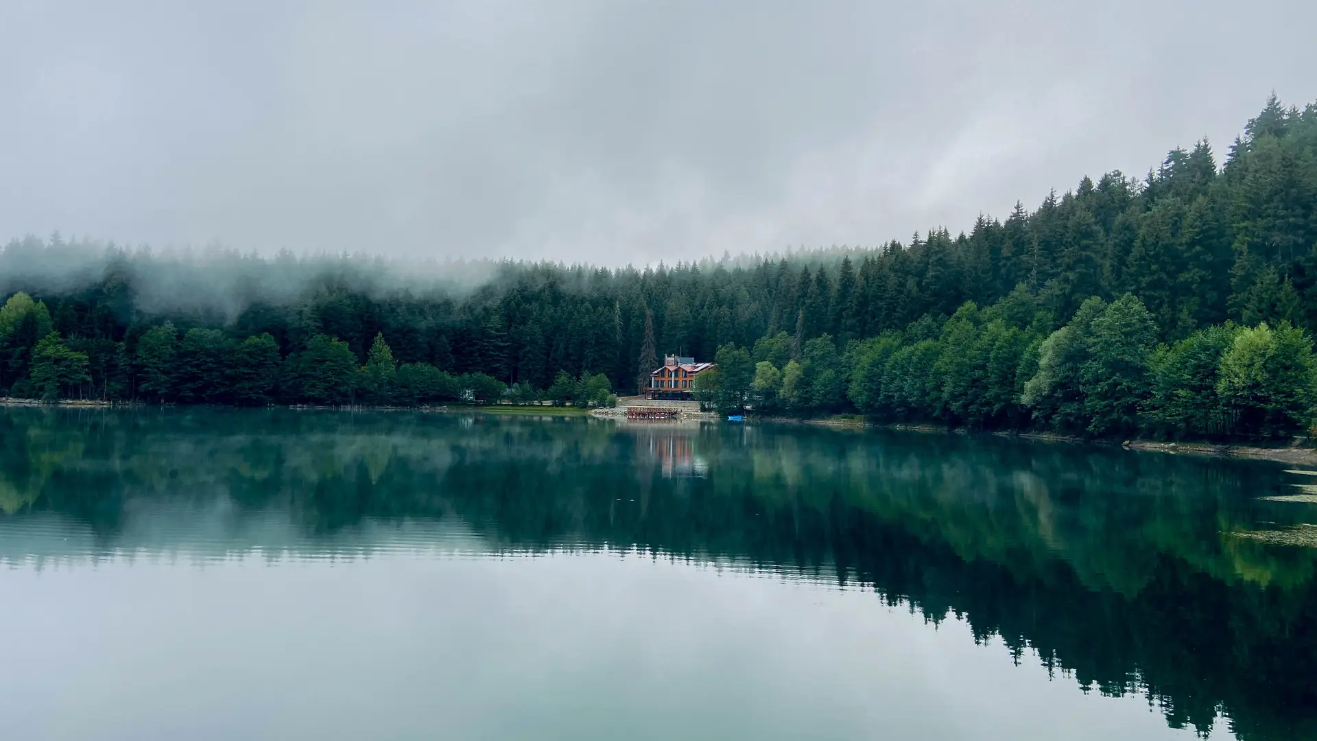 Lakeside dock with forest reflection