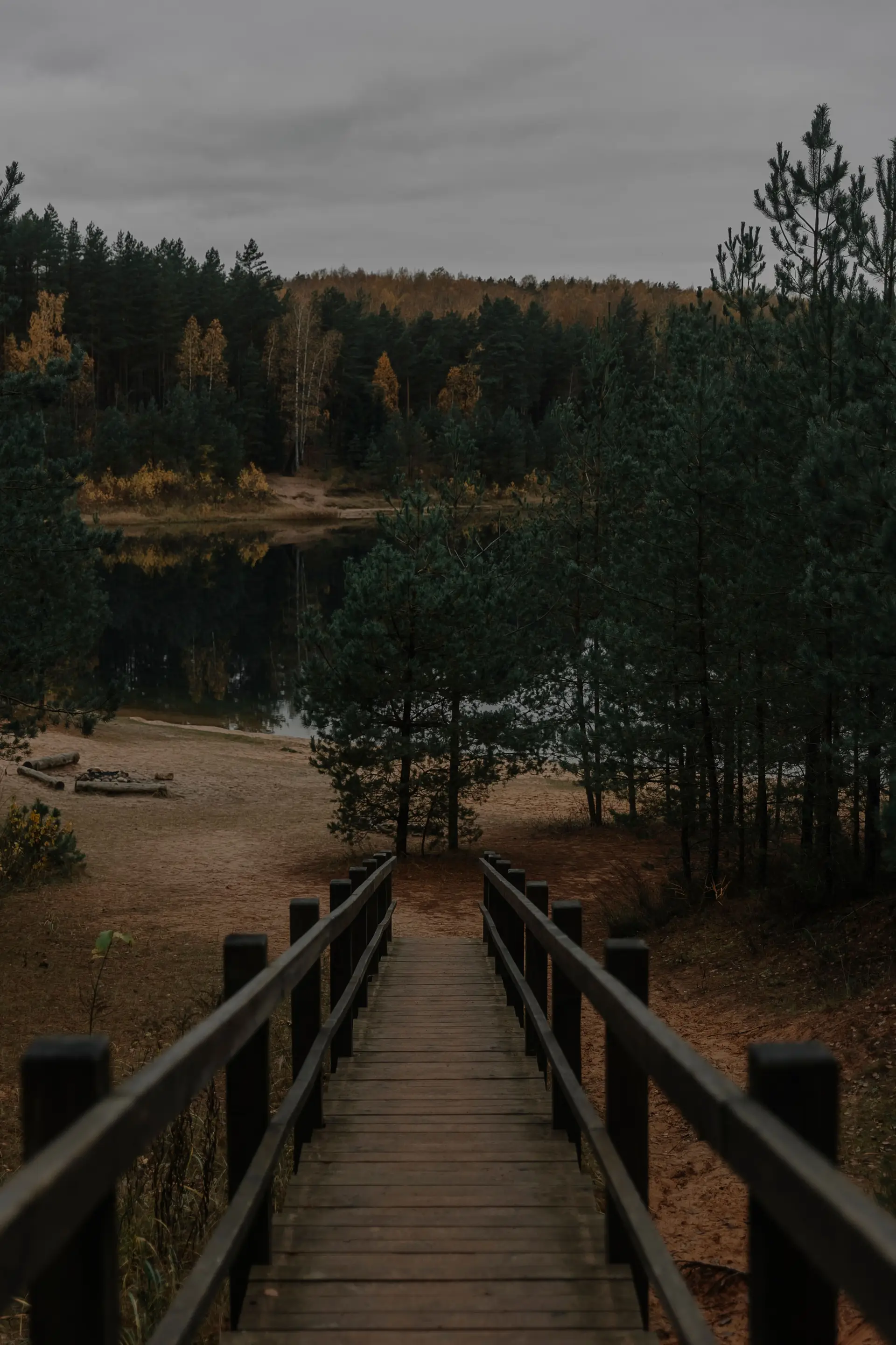 Quiet wood cabin boardwalk leading into cedar groves