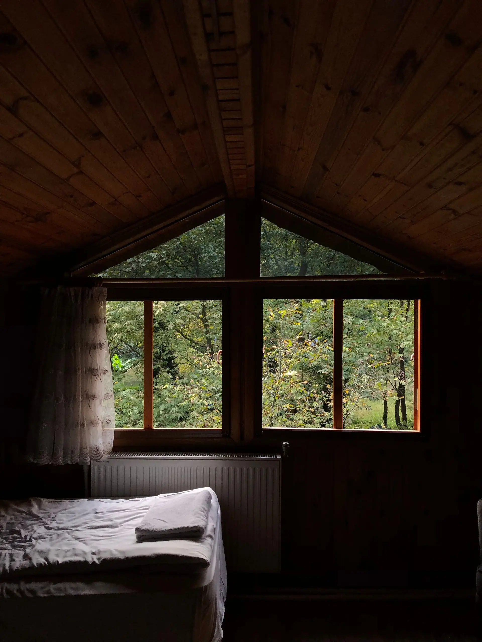 Warm timber cabin lounge with wide forest window seat and morning sunlight