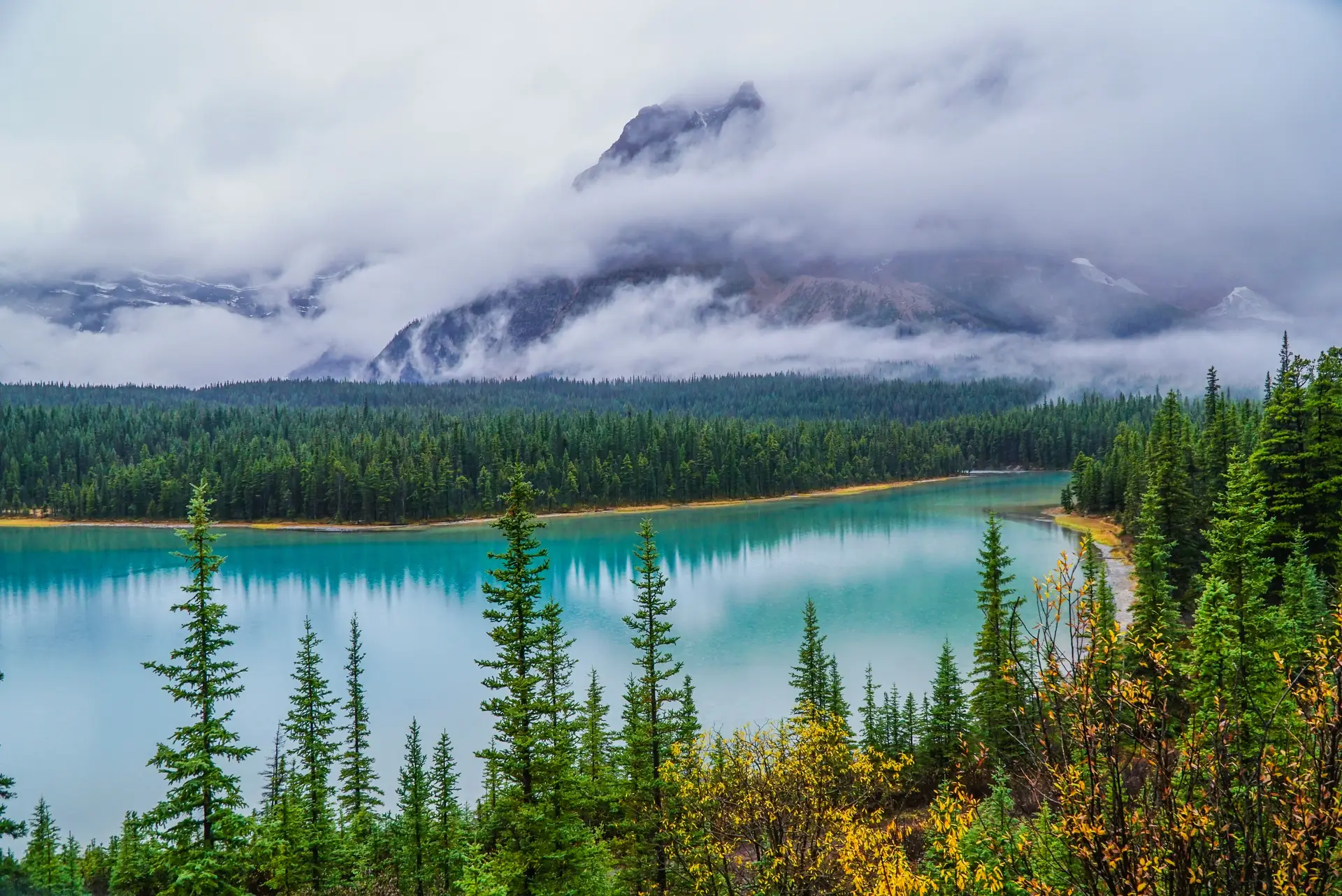 Tranquil dawn view of a misty Canadian mountain lake and evergreen pine forests