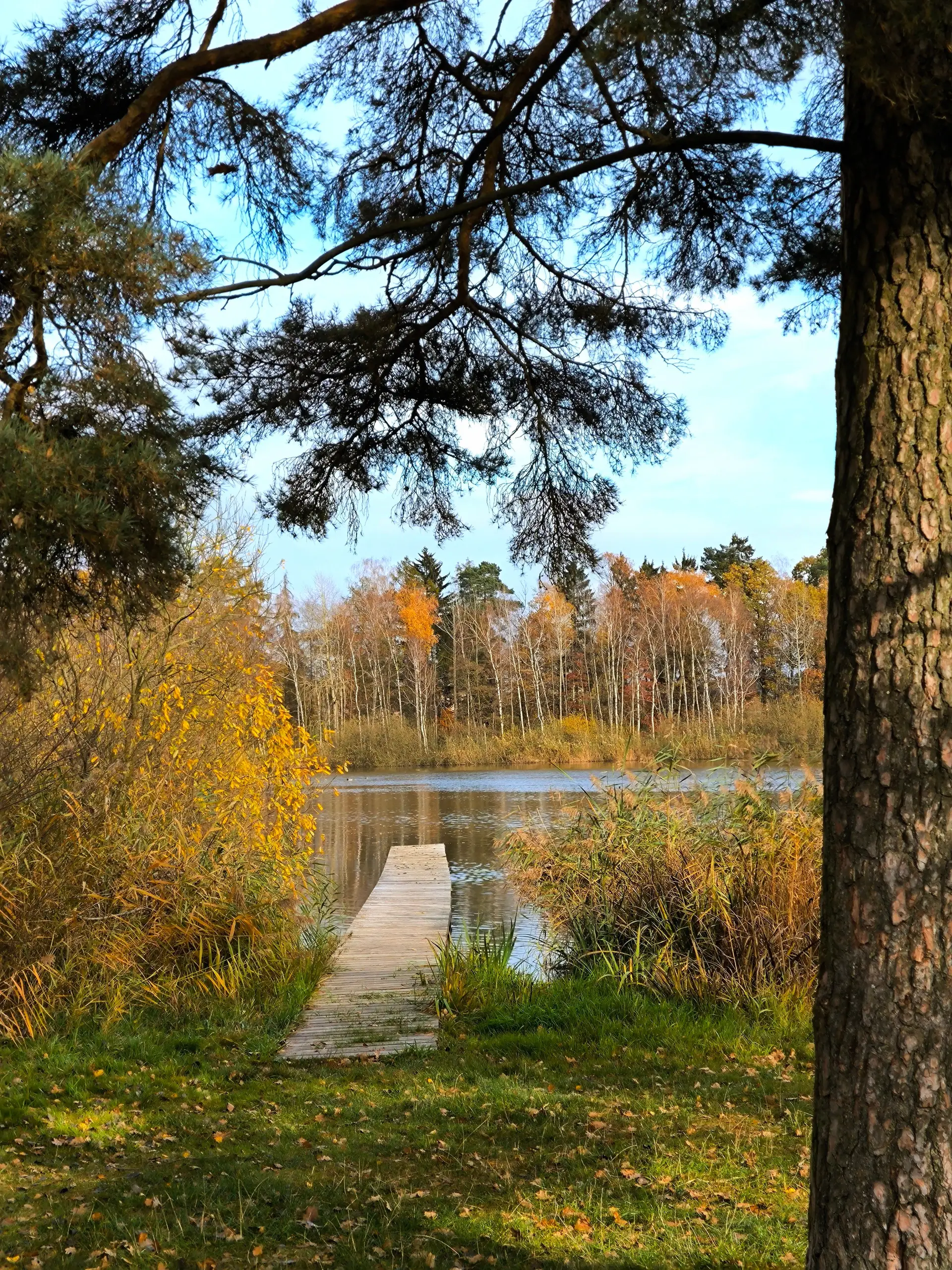 Lakeside path through colorful Canadian foliage