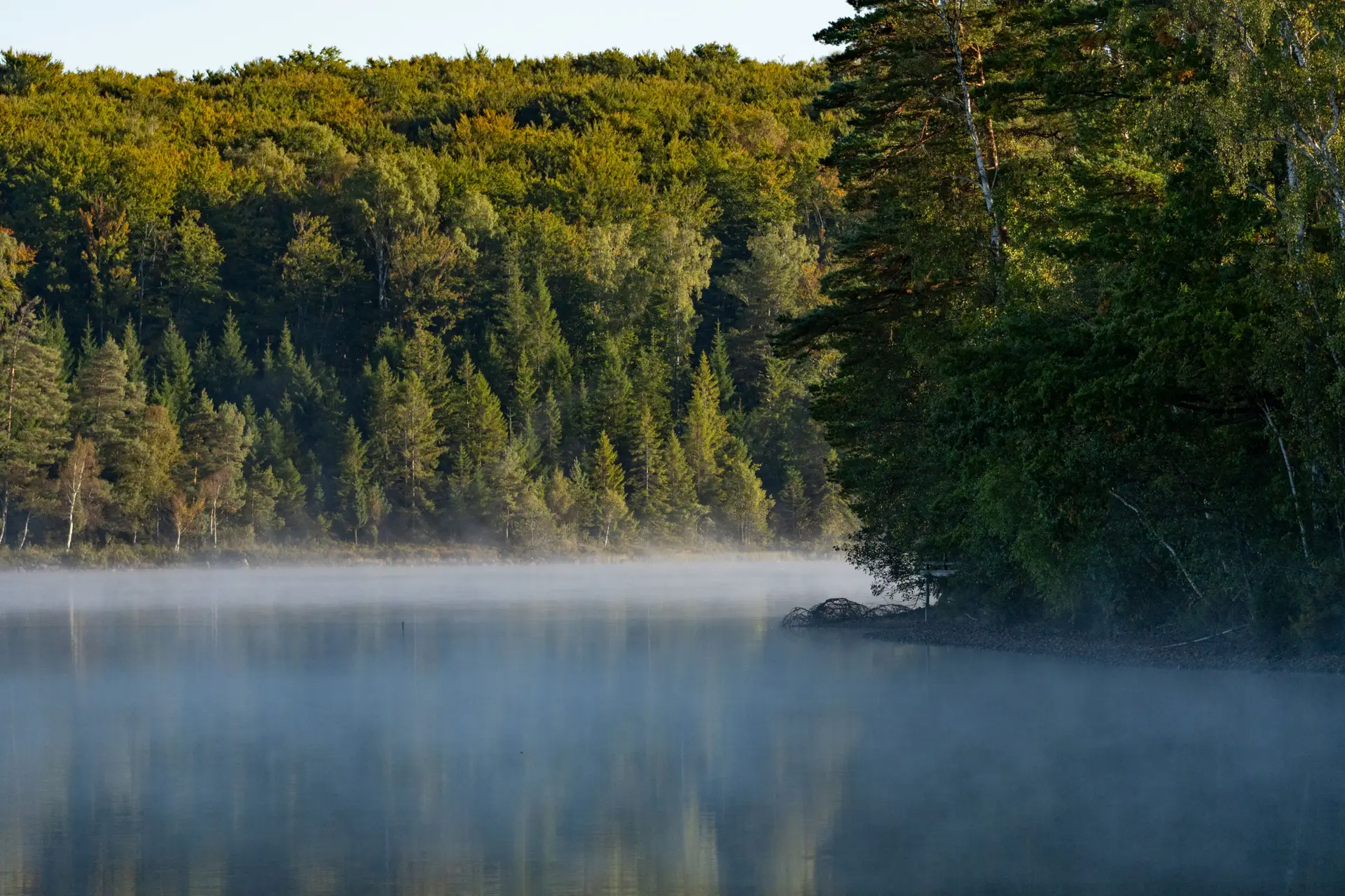Early morning mist hovering over tranquil Canadian forest lake