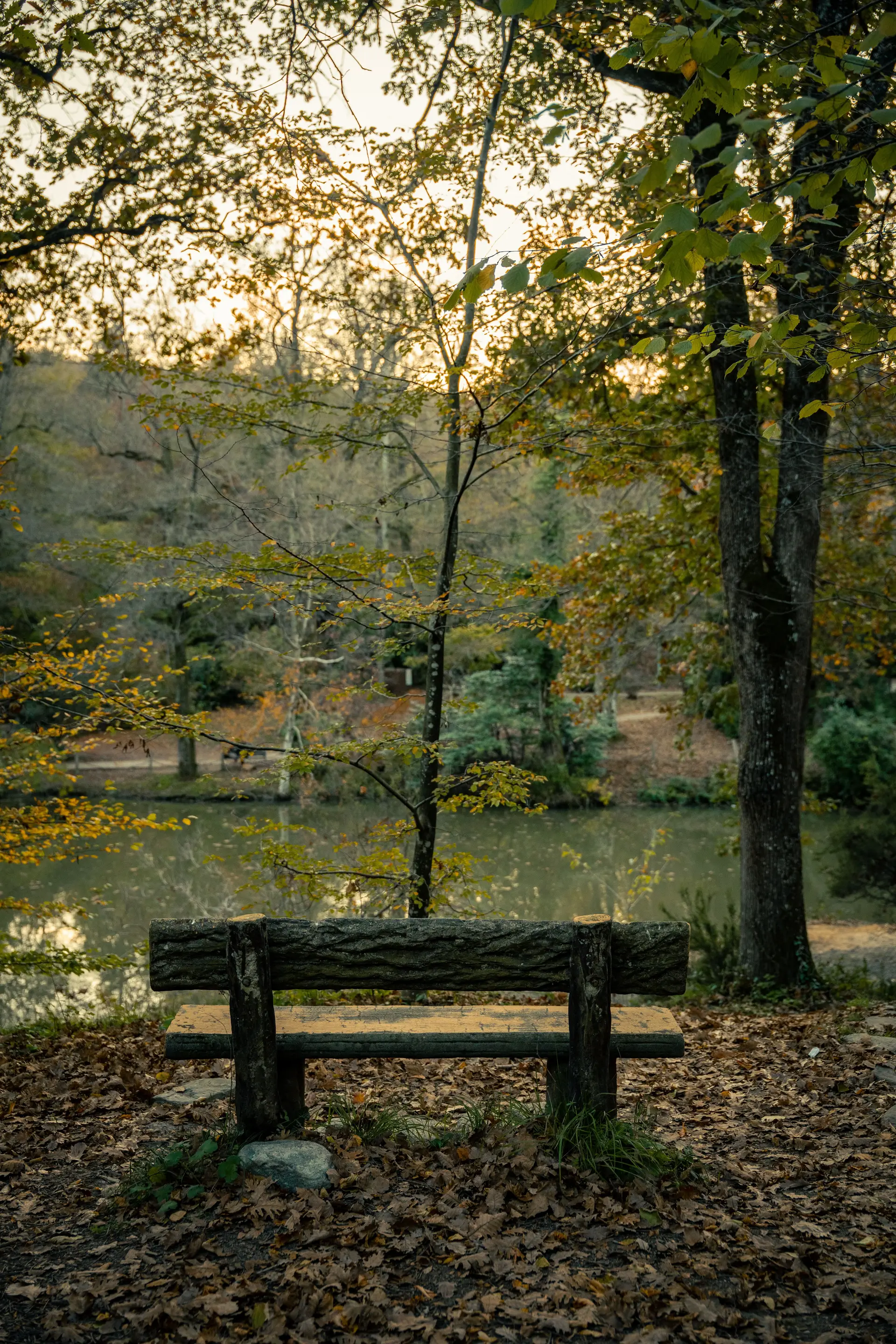 Rustic quiet bench overlooking tranquil autumn water