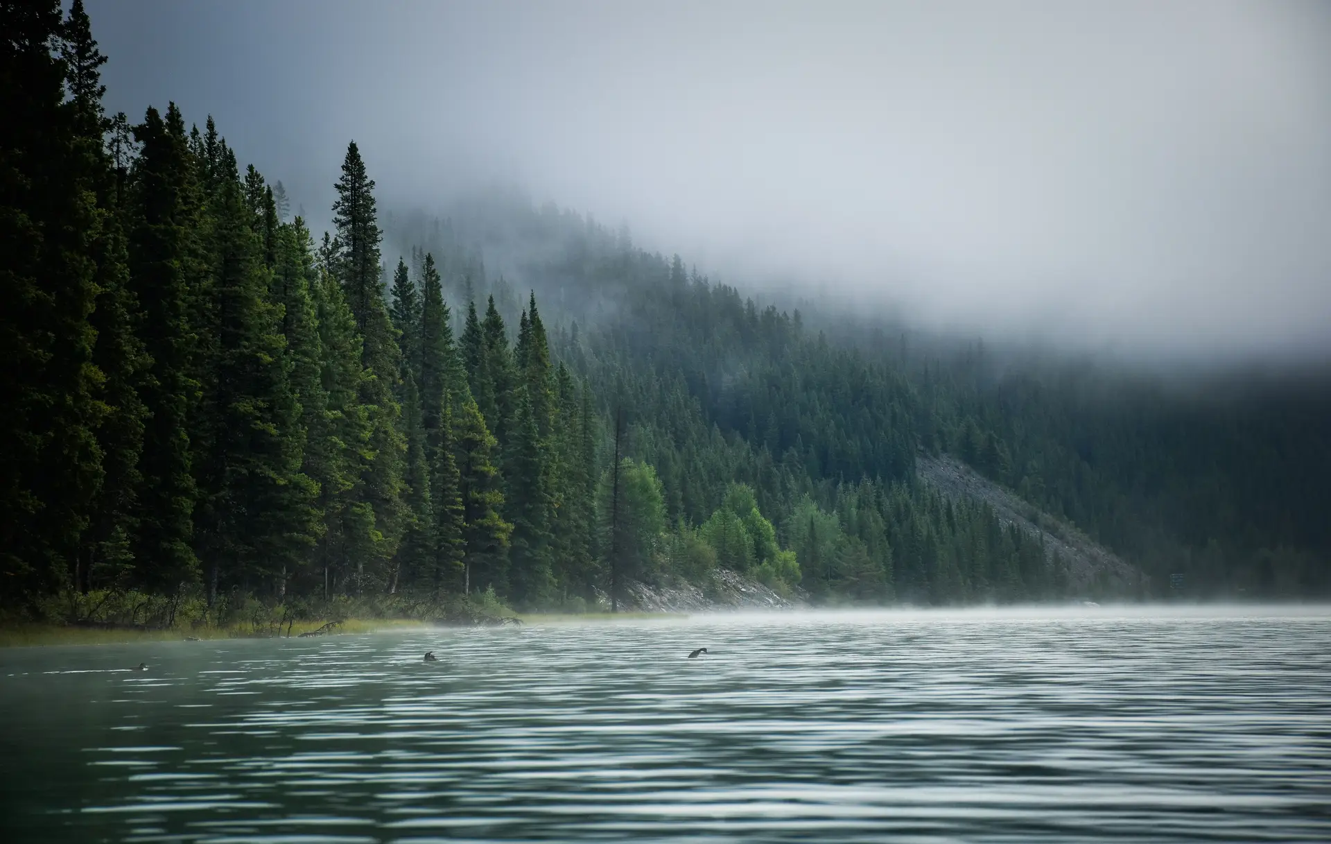 Atmospheric lake and mist under early morning Canadian sky