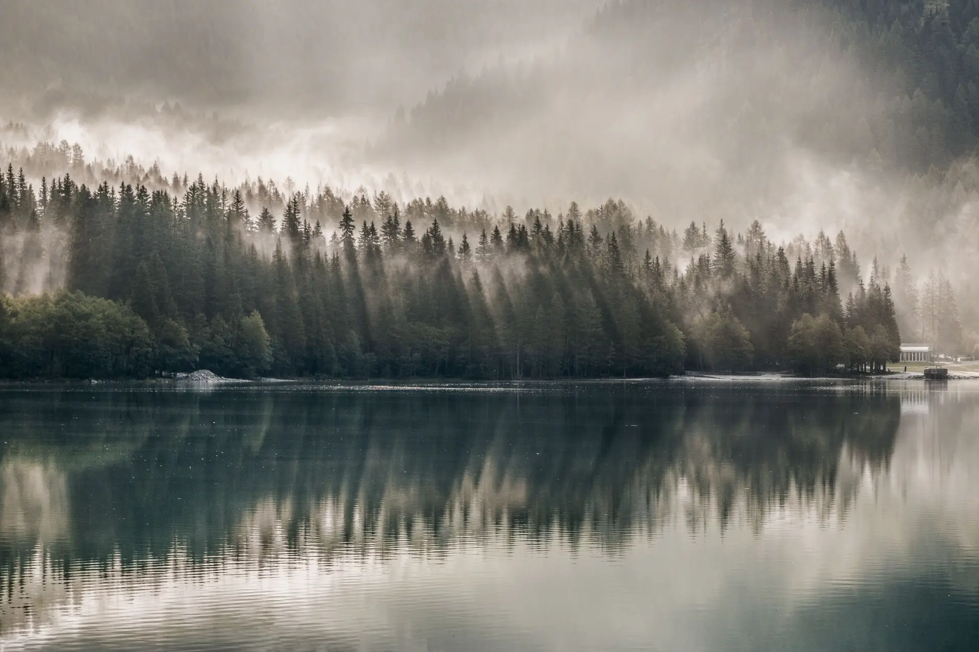 Lush green summer forest mirrored in clear lake